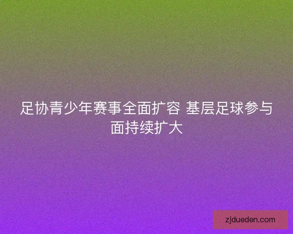 足协青少年赛事全面扩容 基层足球参与面持续扩大